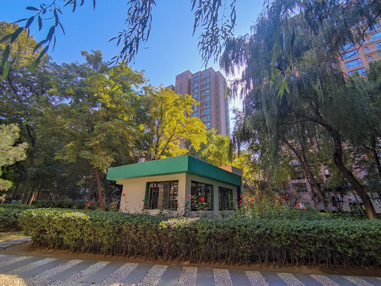 合生国际花园 environment