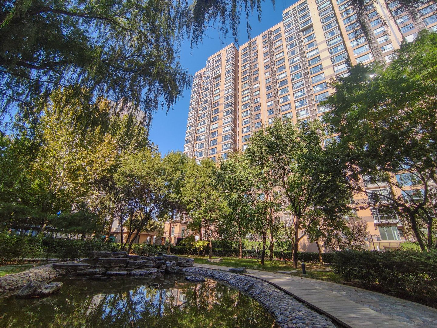 合生国际花园 environment