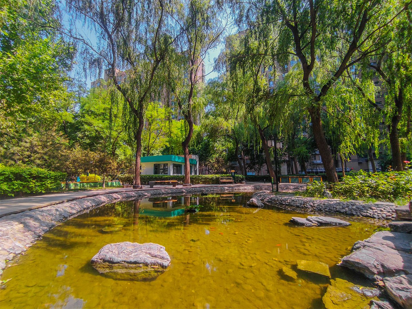 合生国际花园 environment