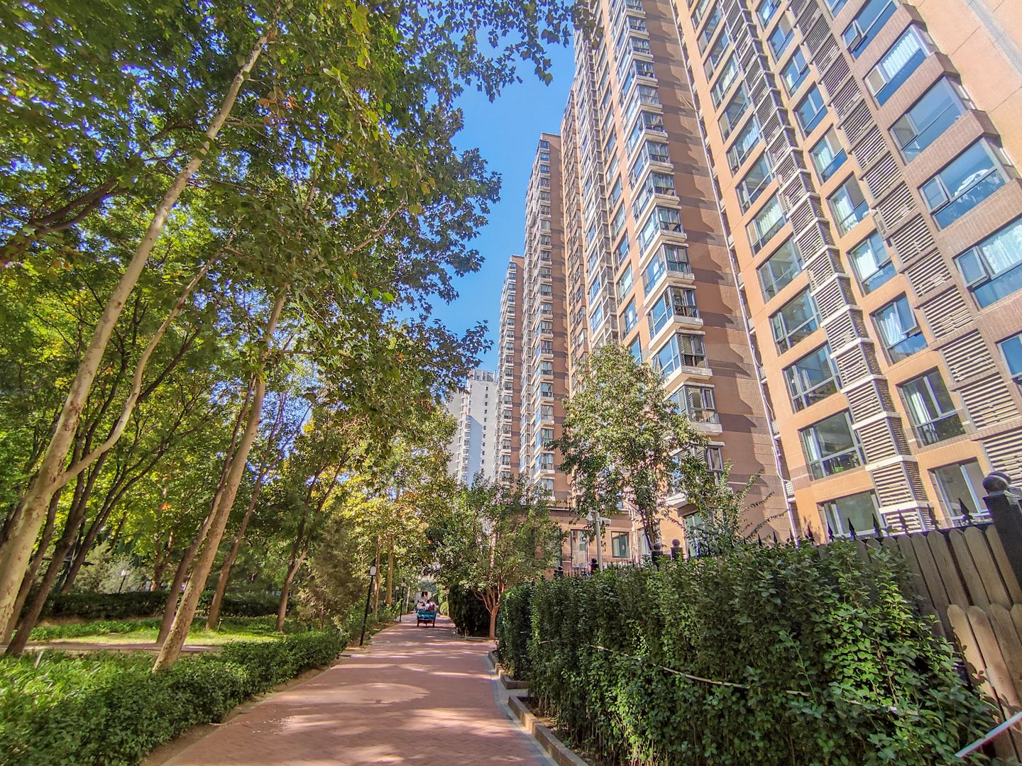 合生国际花园 environment