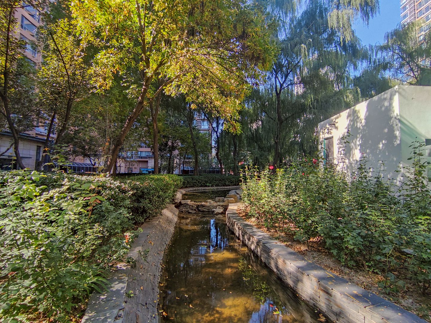 合生国际花园 environment