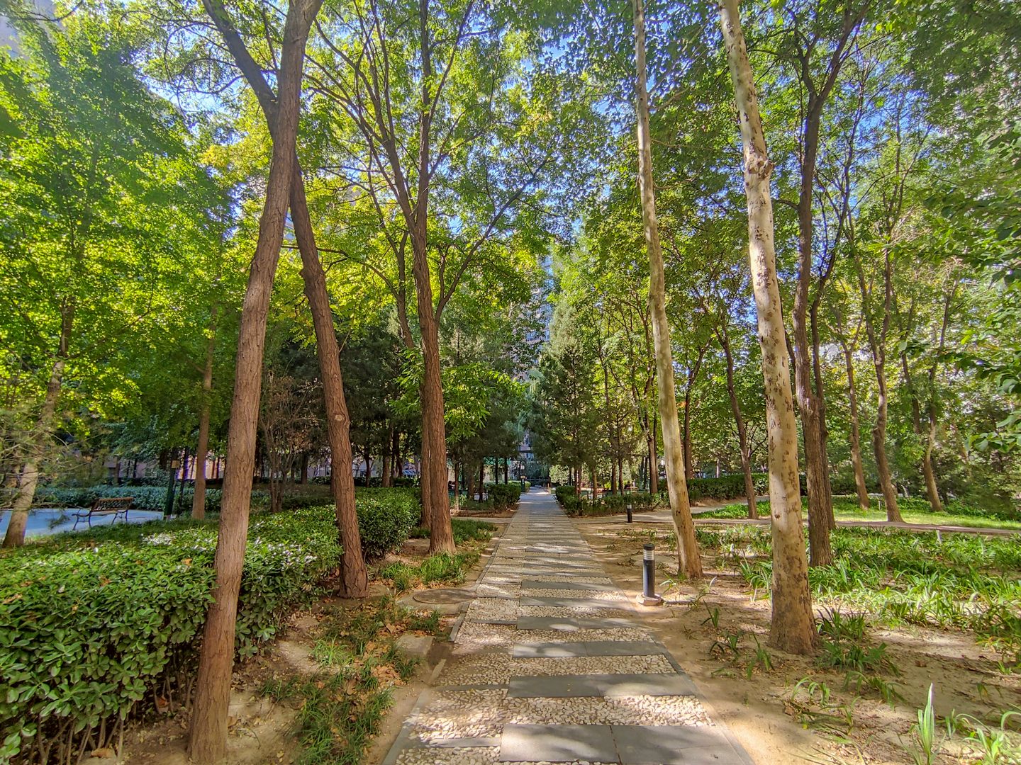 合生国际花园 environment