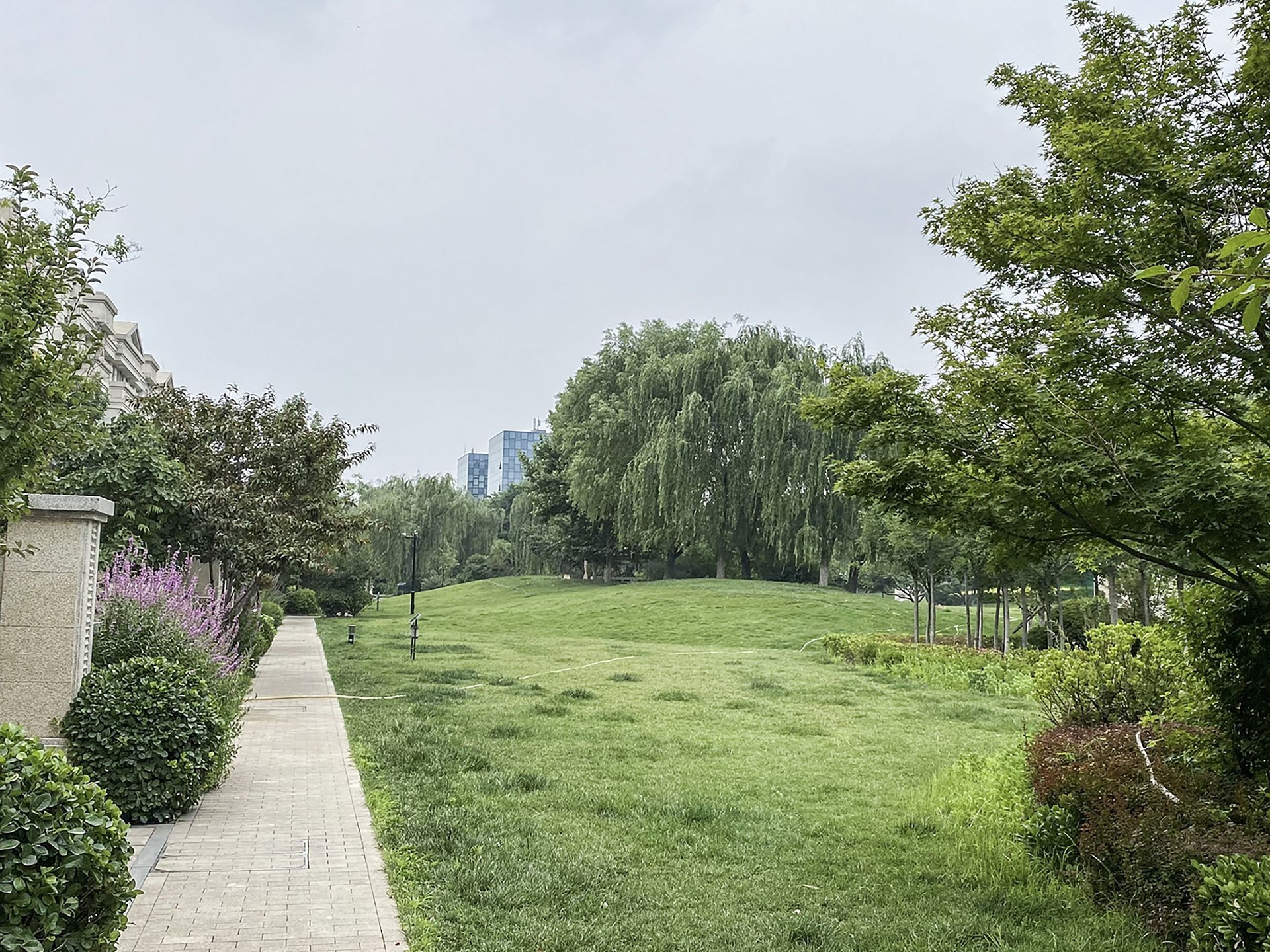 鸿坤林语墅 environment