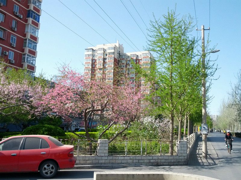 红莲中里 environment