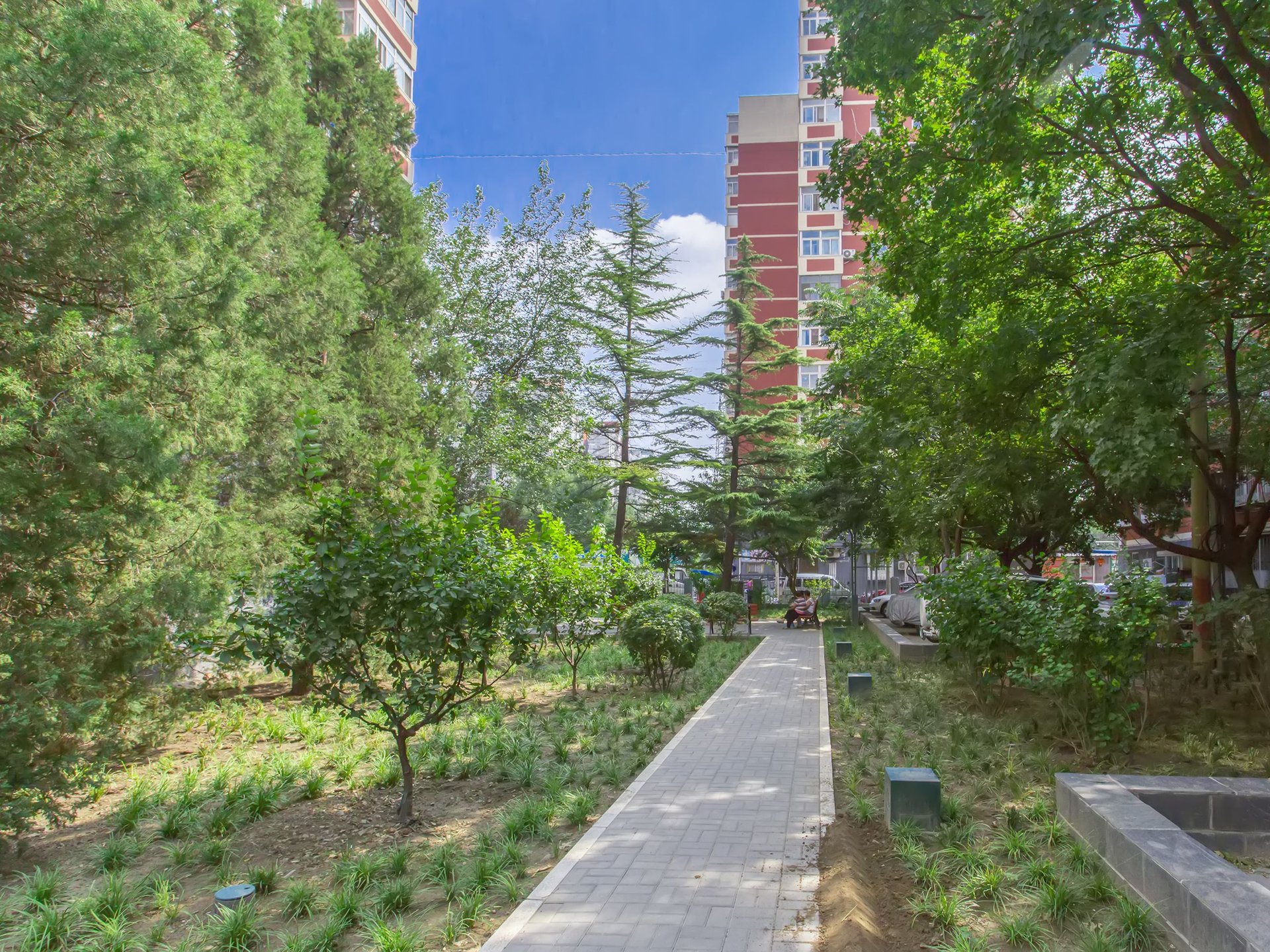 红莲中里 environment