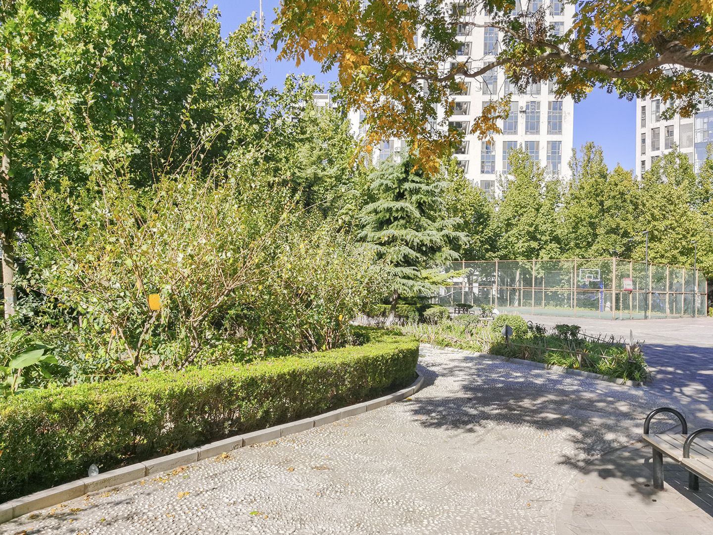 后现代城D区 environment