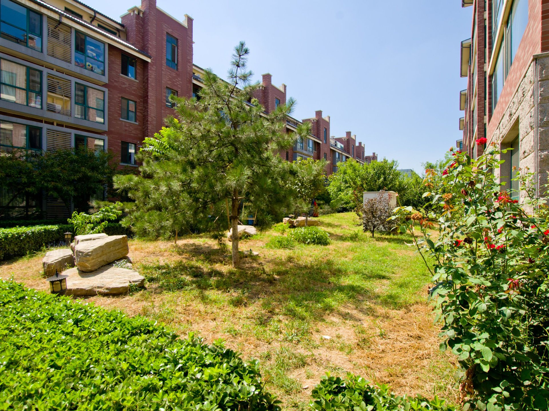 华鸿家园 environment