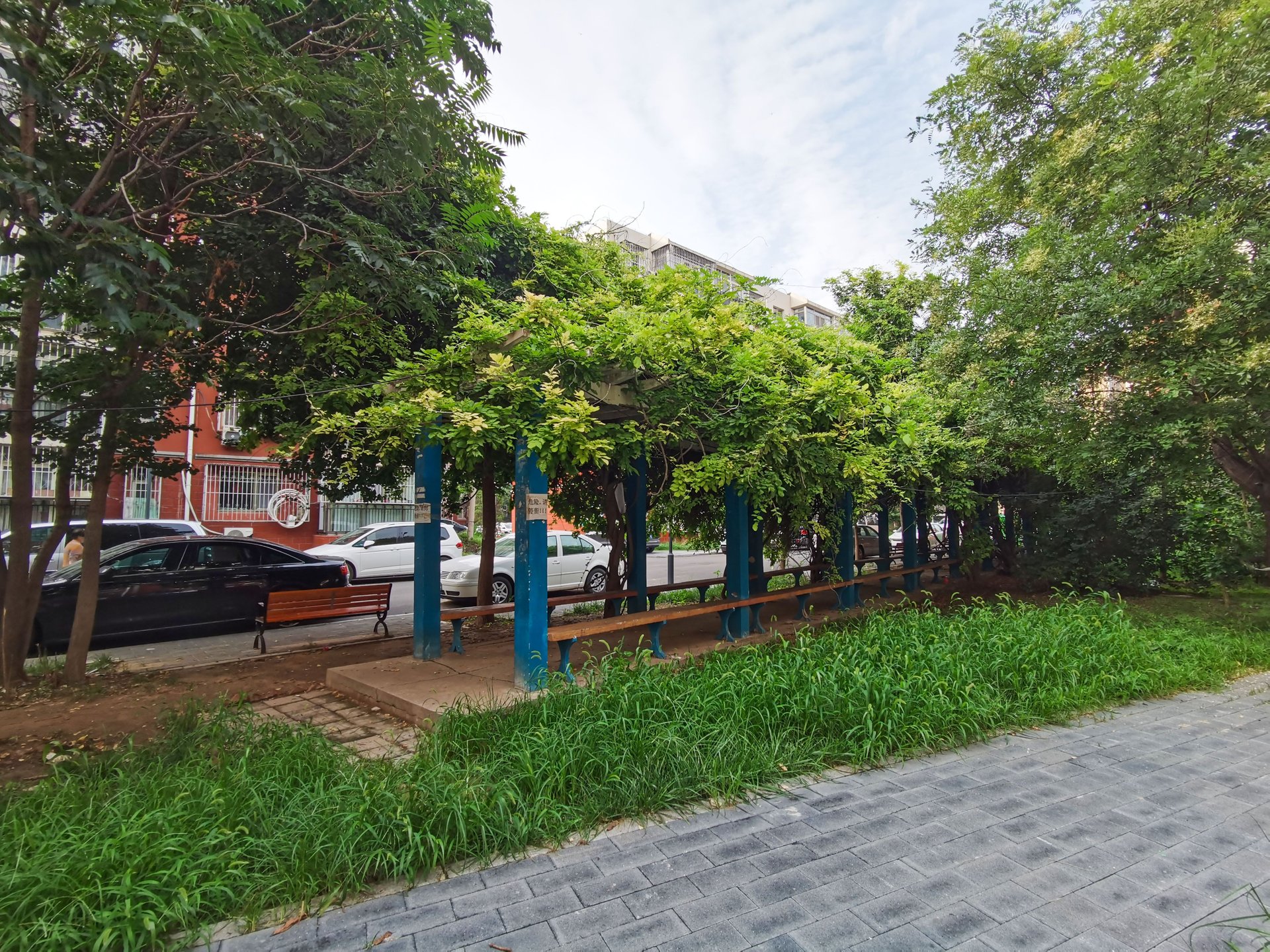 华龙小区 environment