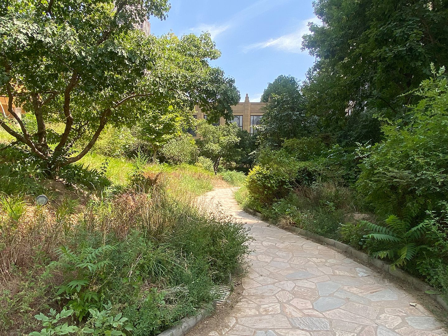 华贸城 environment