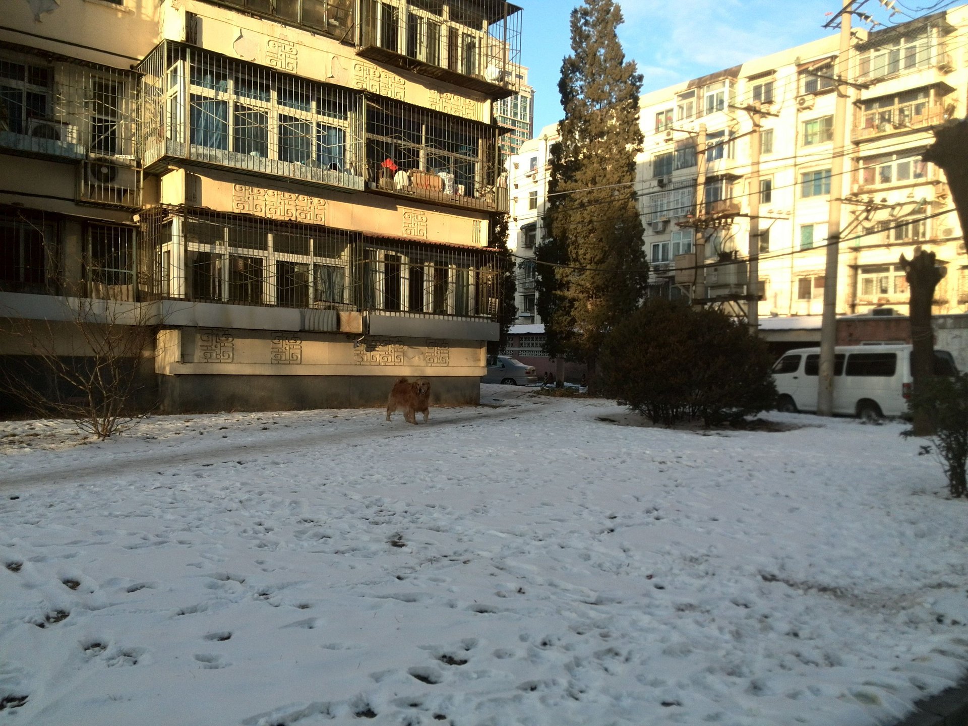 华严北里小区 environment