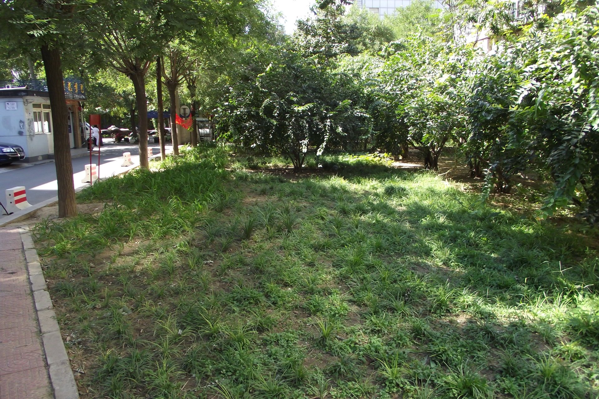 华严北里小区 environment