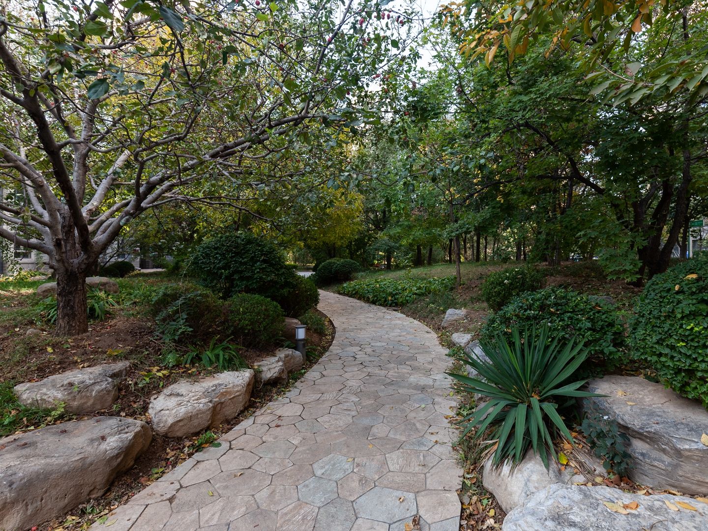 华业东方玫瑰A区 environment