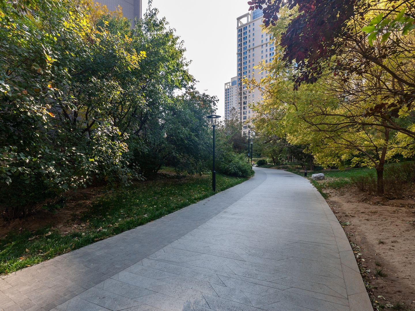 华业东方玫瑰A区 environment