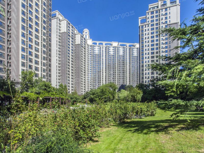 华业东方玫瑰A区 environment