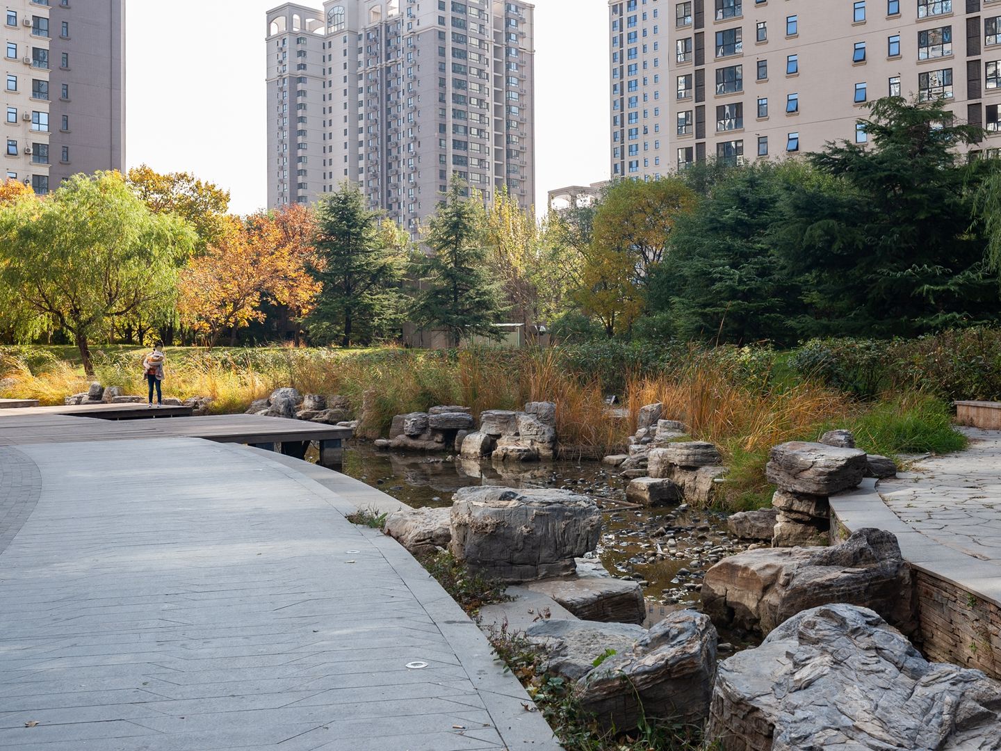 华业东方玫瑰A区 environment