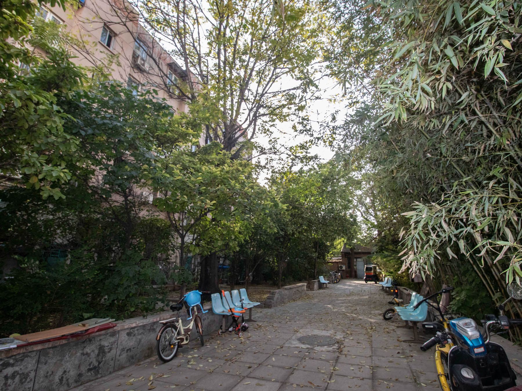 花园胡同8号院 environment