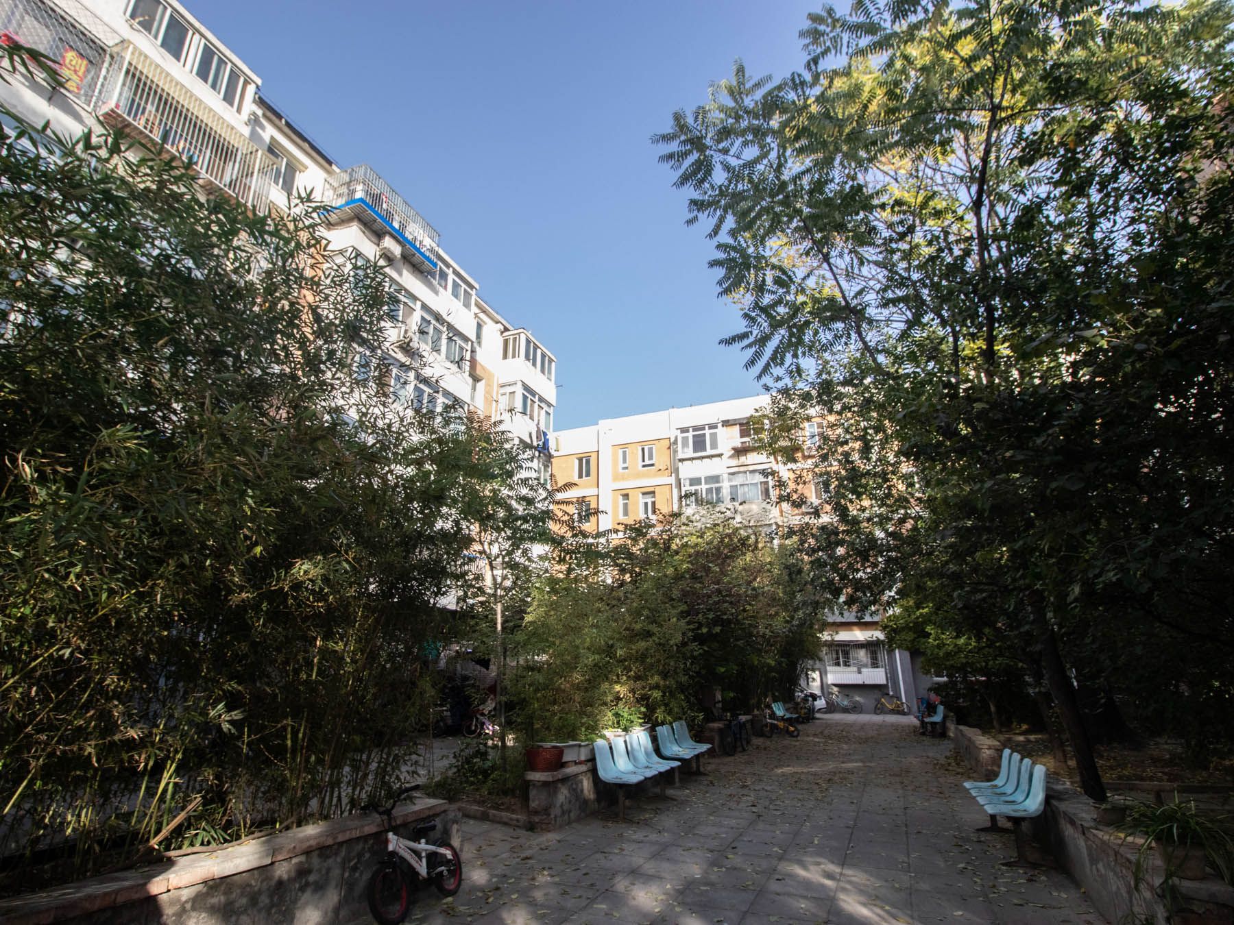 花园胡同8号院 environment