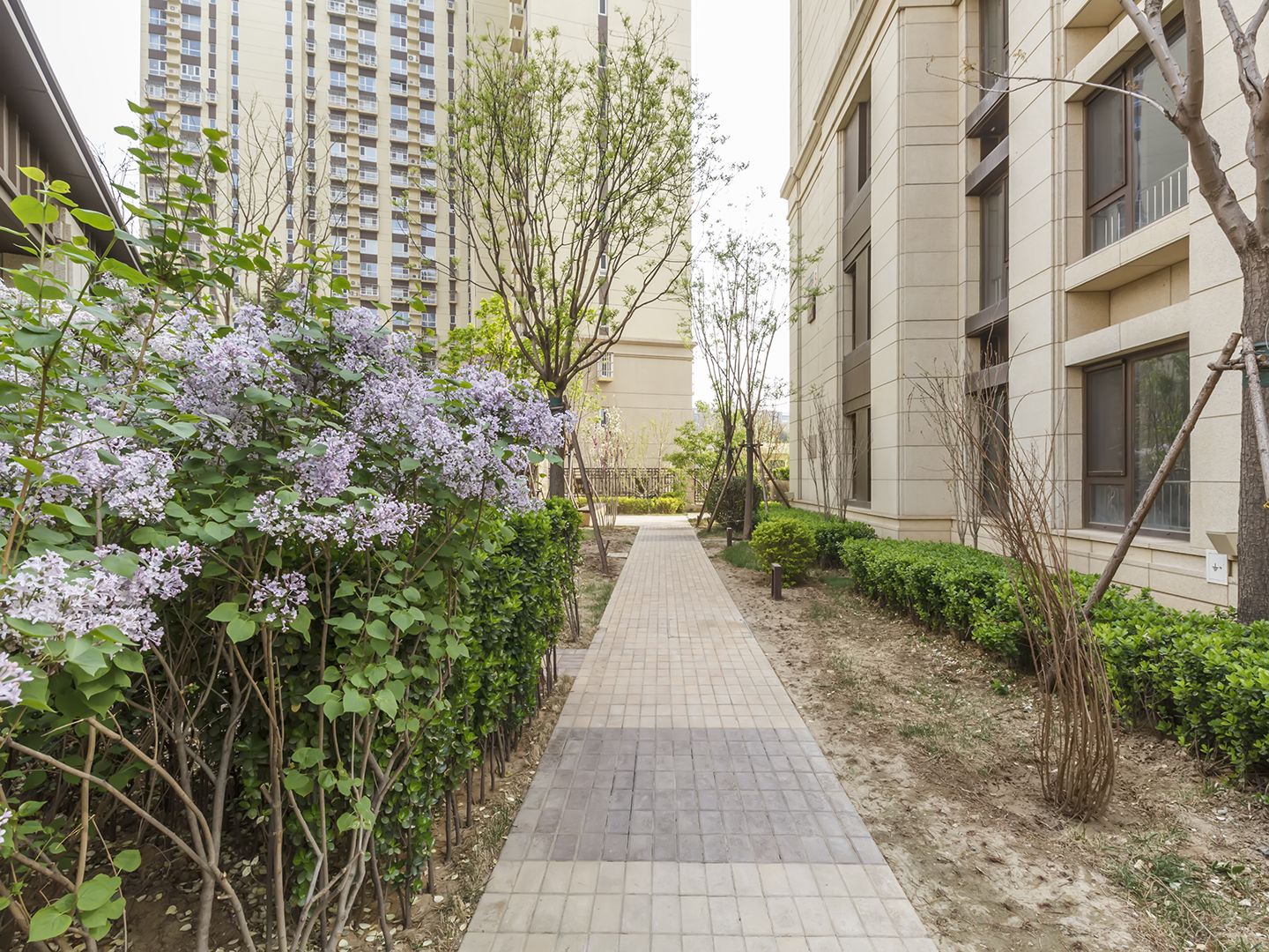 华远裘马四季 environment