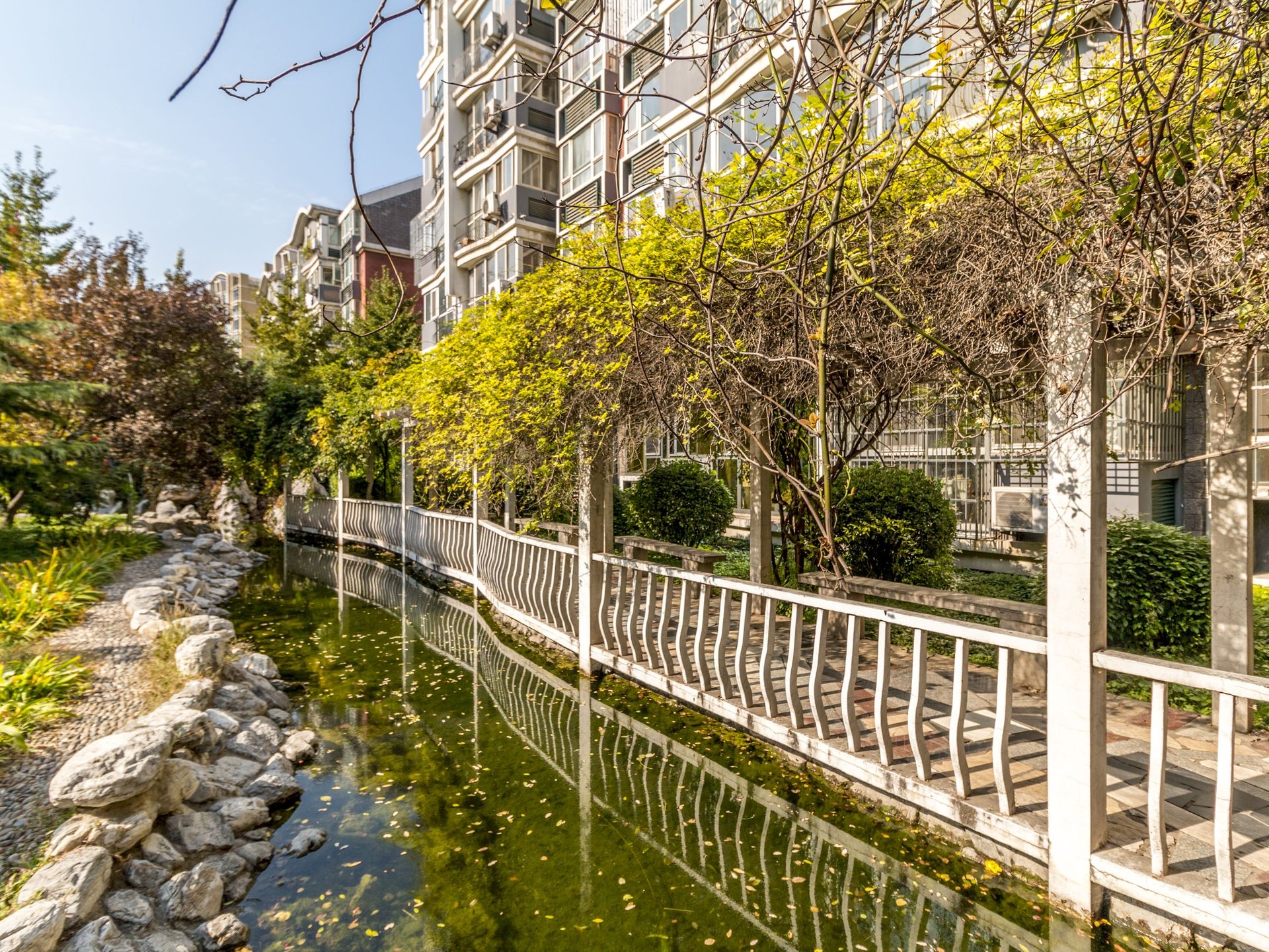 汇丰家园 environment