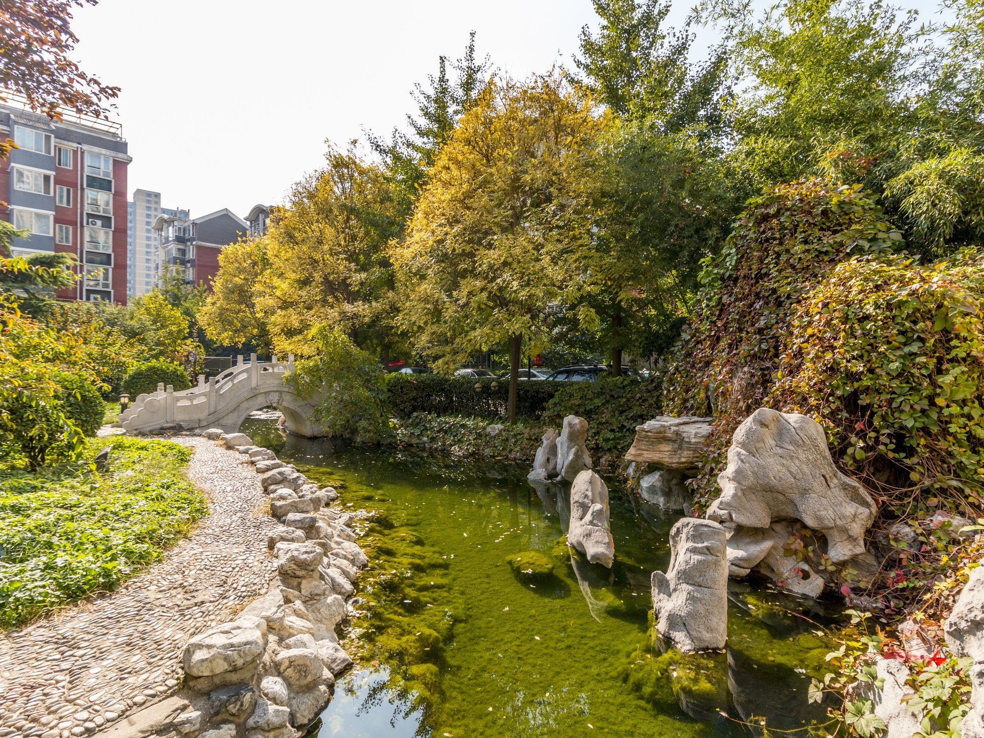 汇丰家园 environment