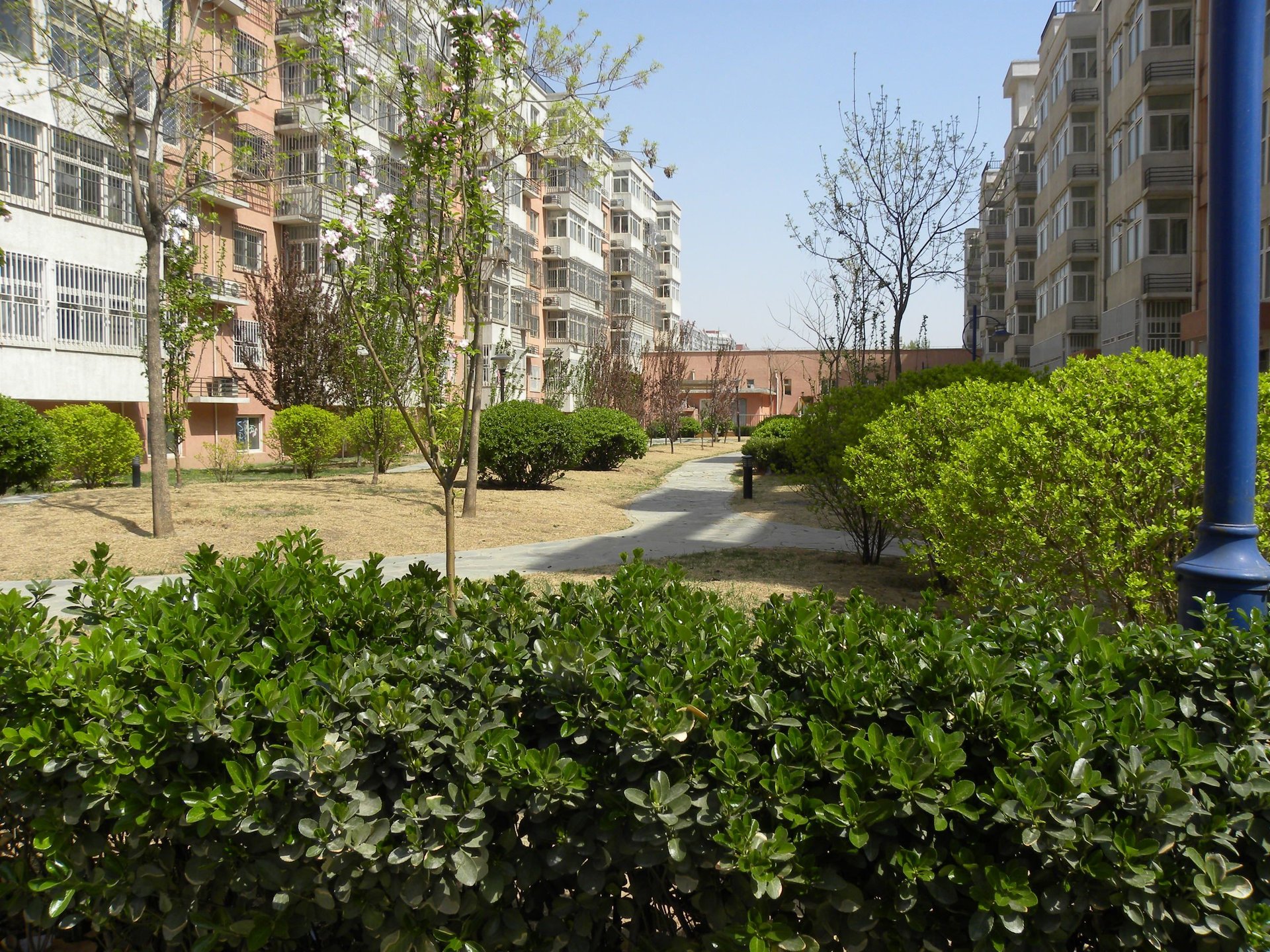 汇锦苑 environment