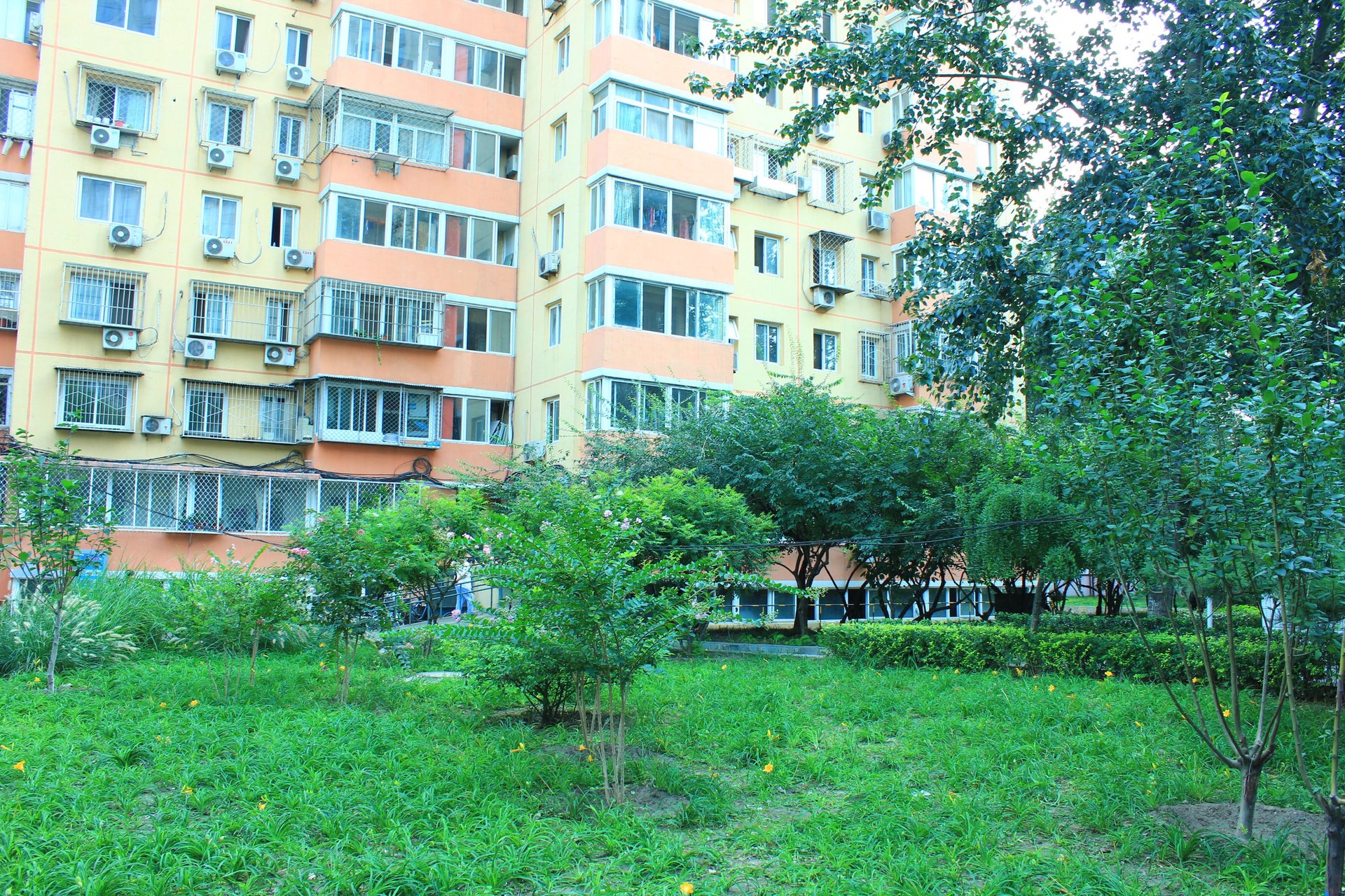 胡家园小区 environment