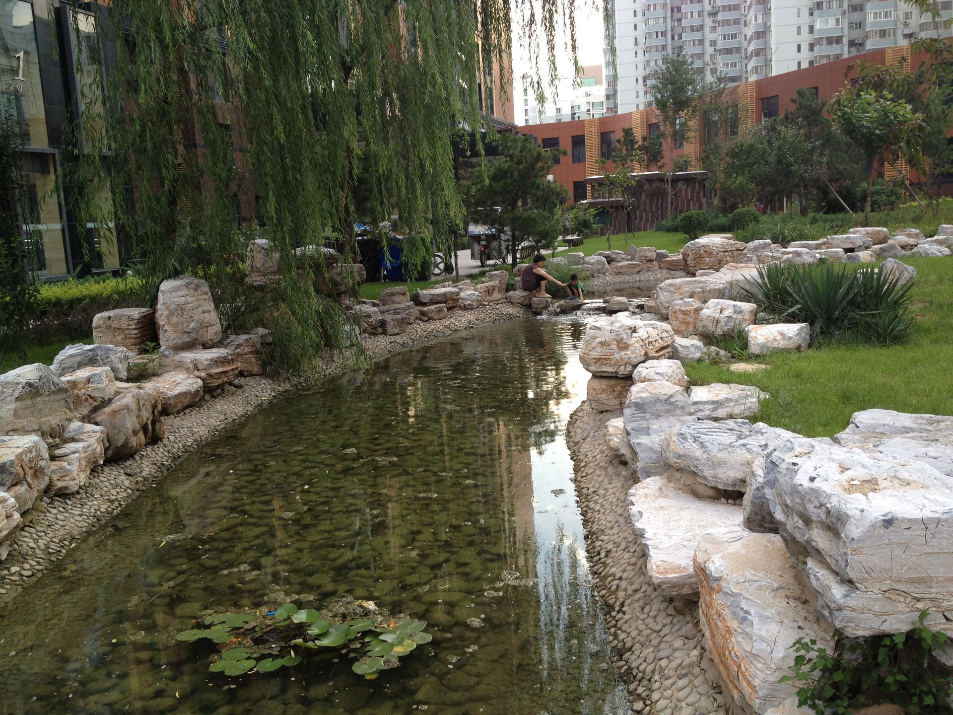 火星园 environment