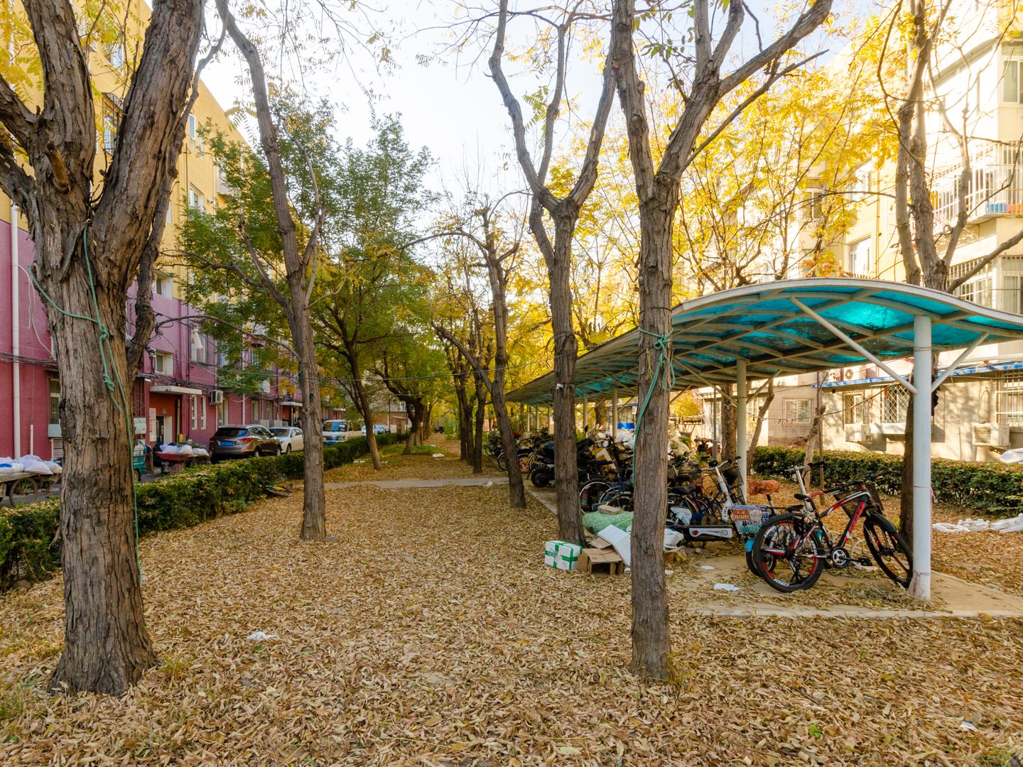 建材城西一里 environment