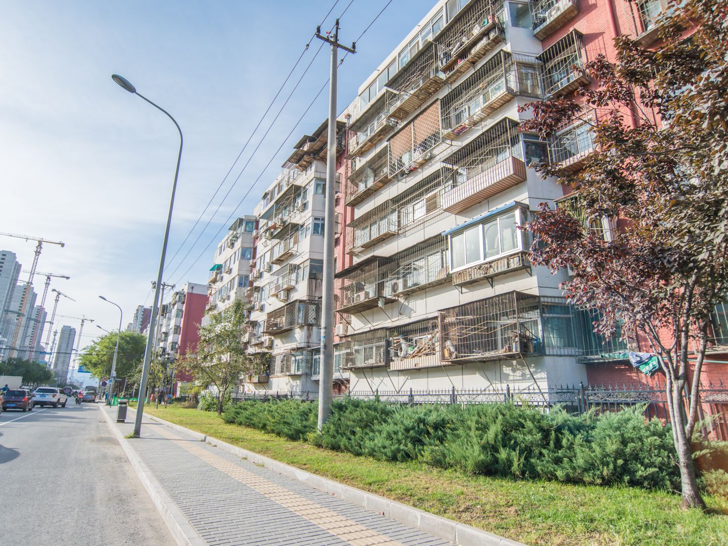 建清园 environment