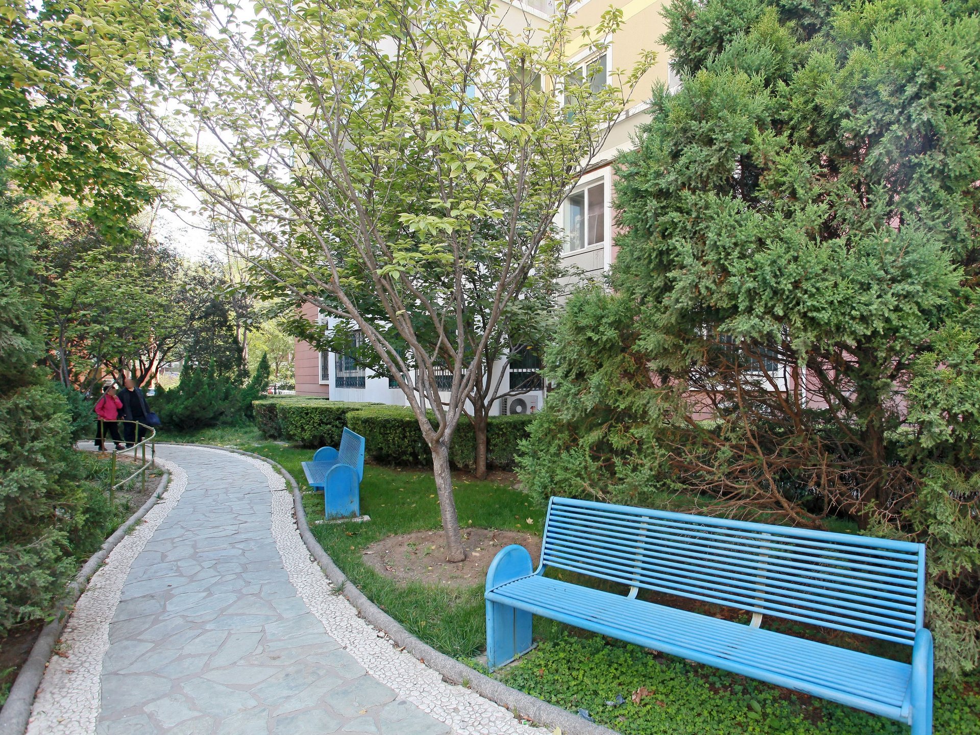 建设部大院 environment