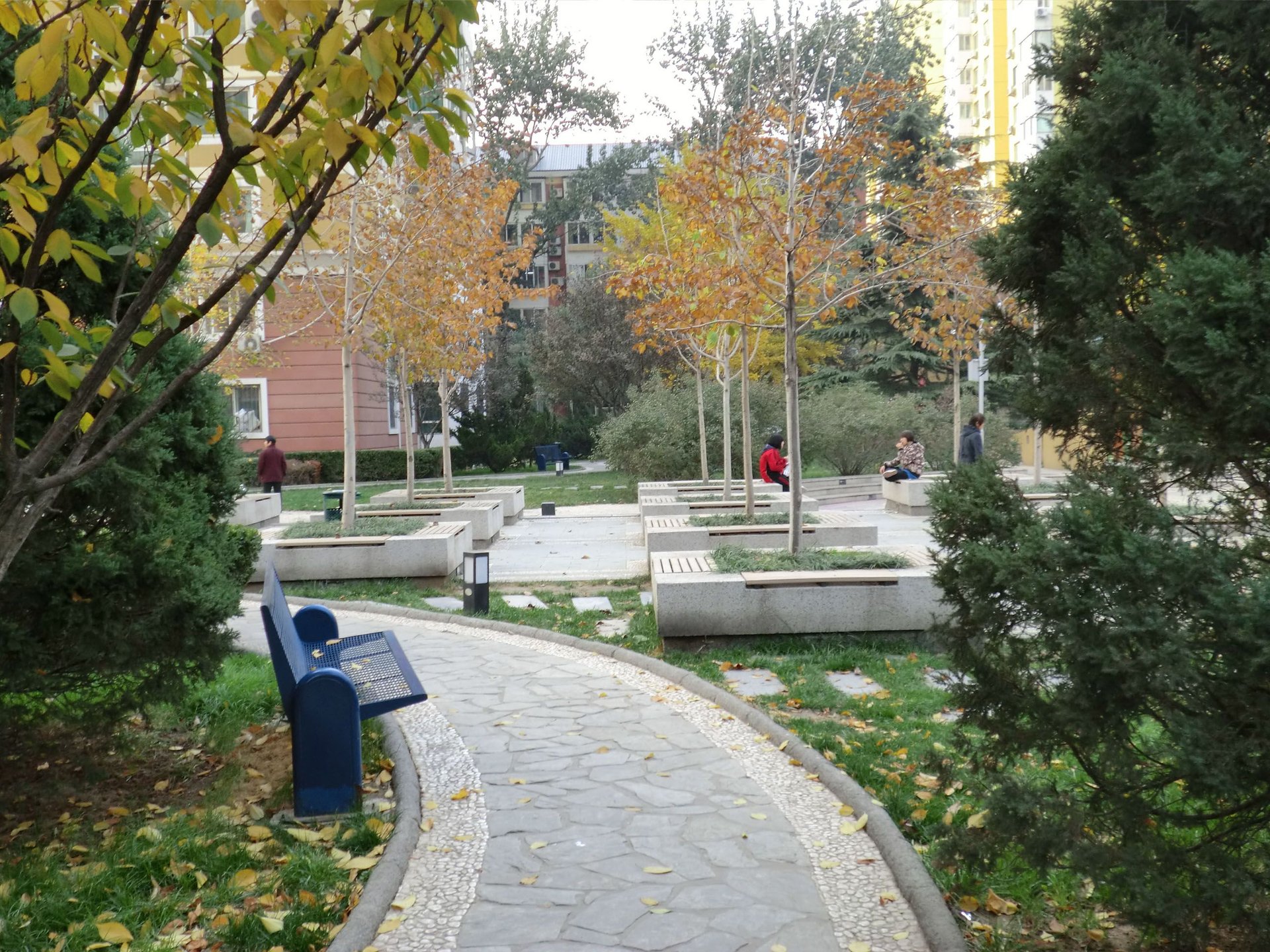 建设部大院 environment