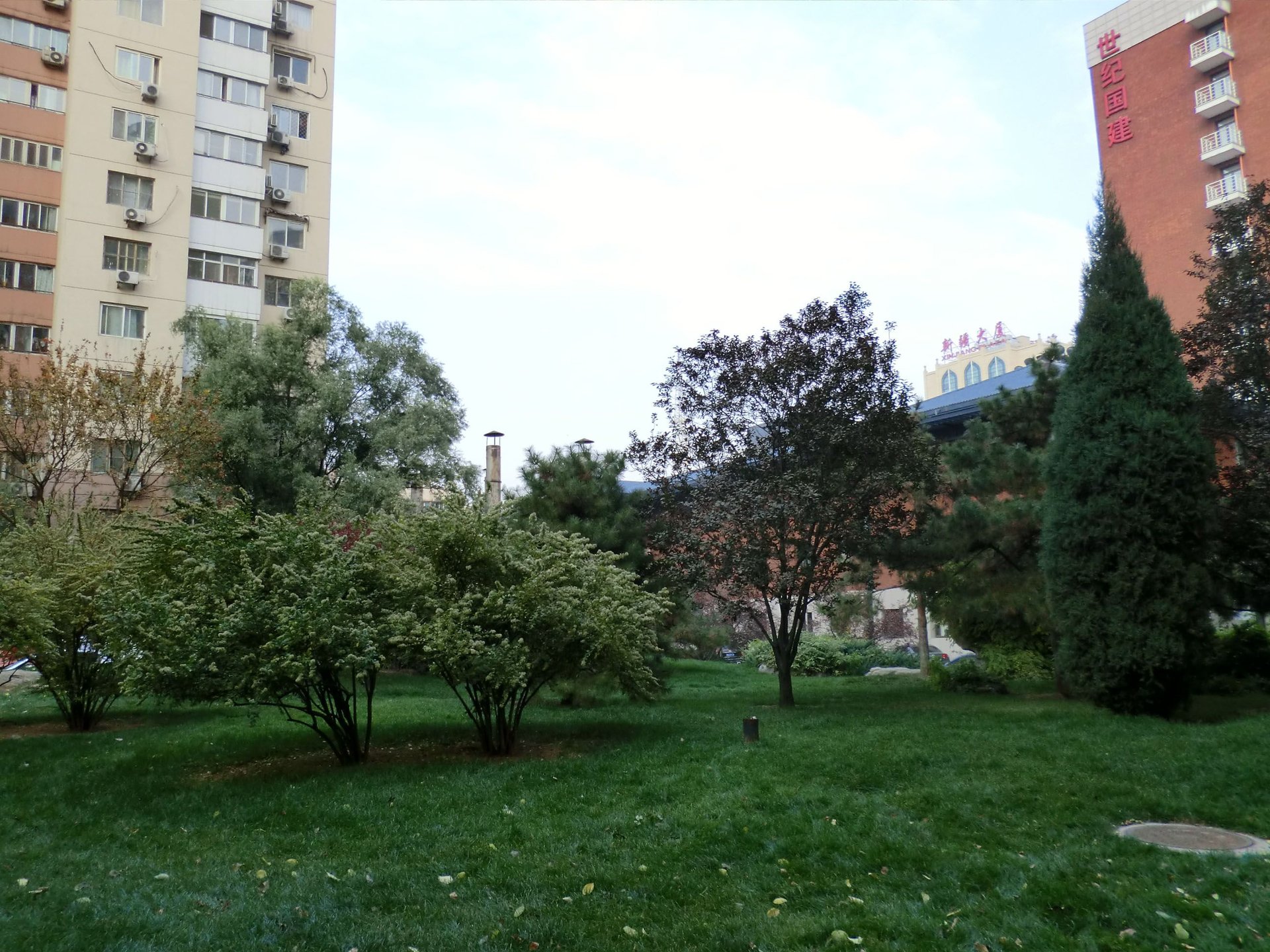 建设部大院 environment