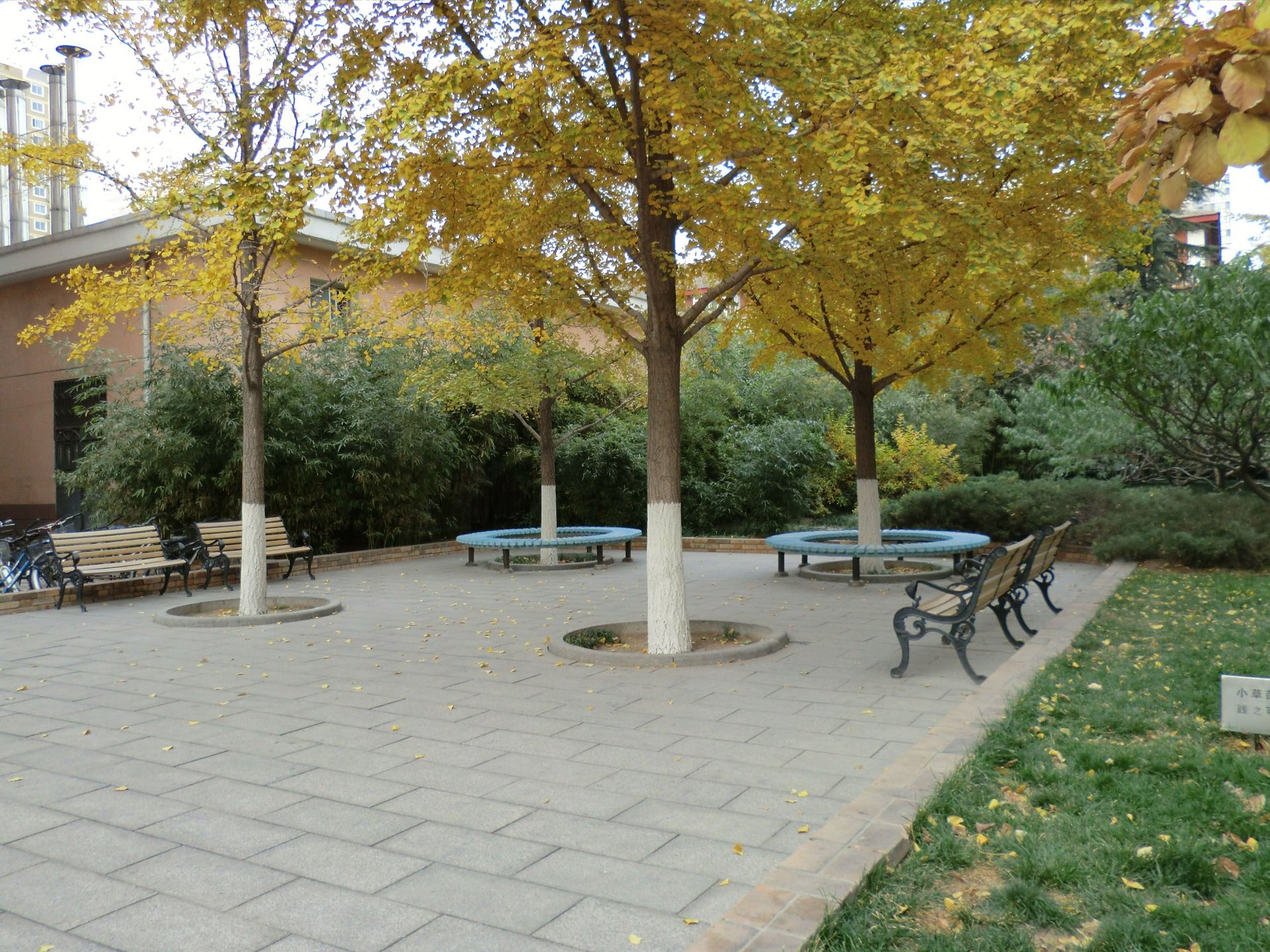 建设部大院 environment