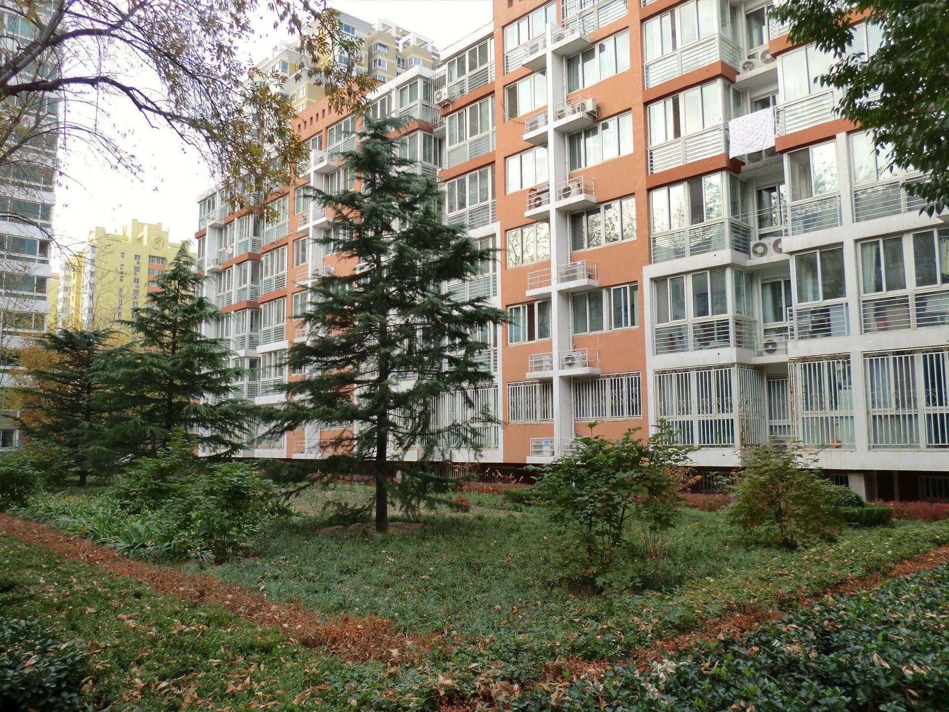 建设部大院 environment