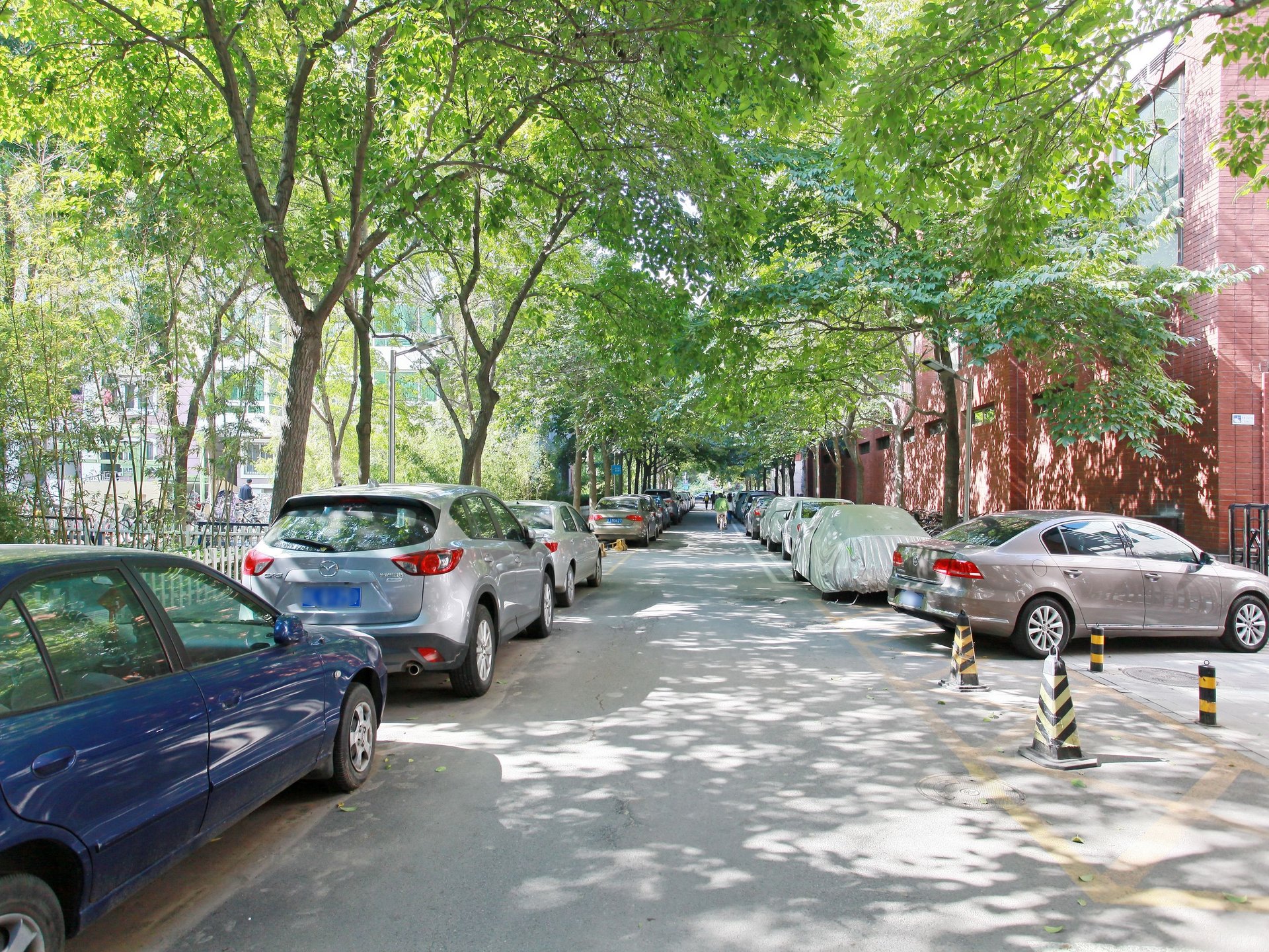 建设部大院 environment