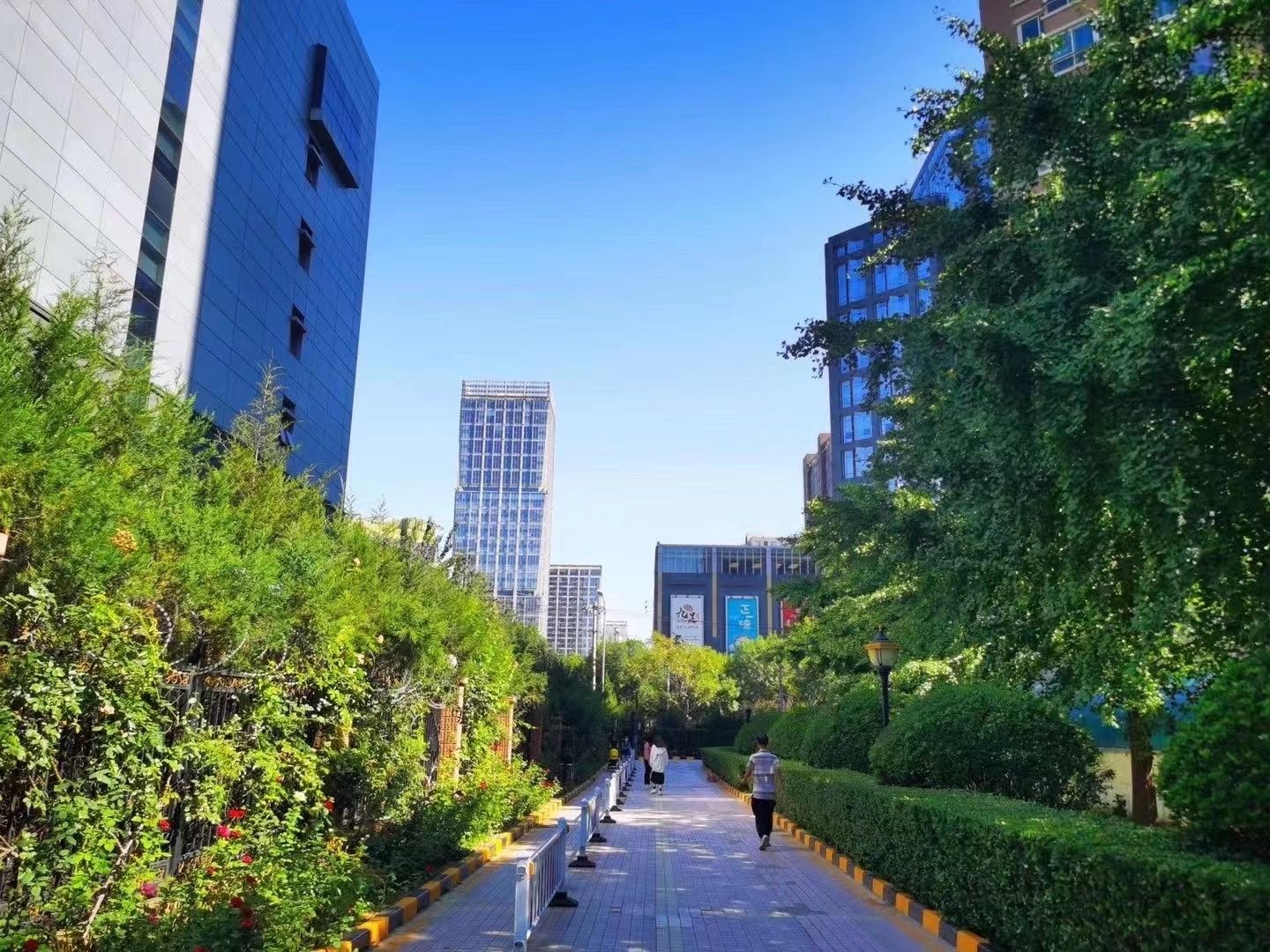 嘉润花园 environment