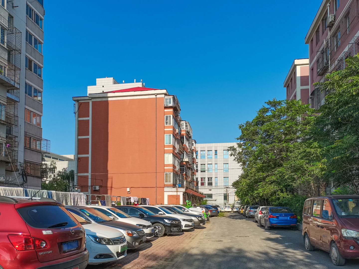 碣石坪 environment