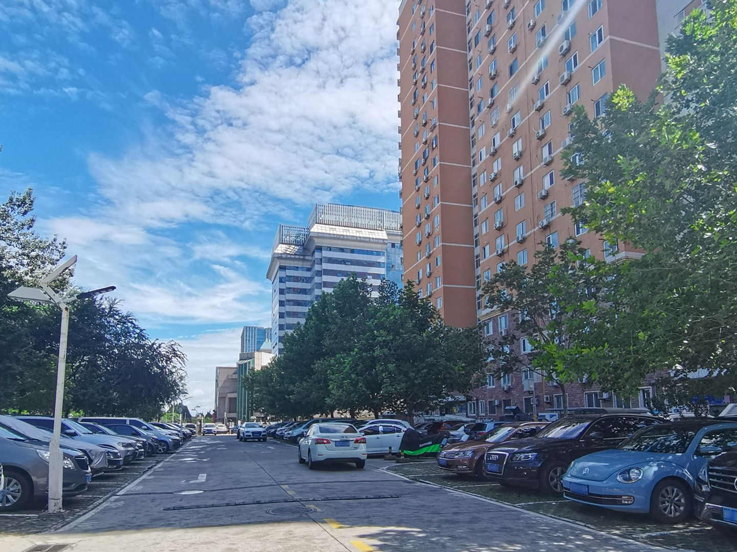 碣石坪 environment