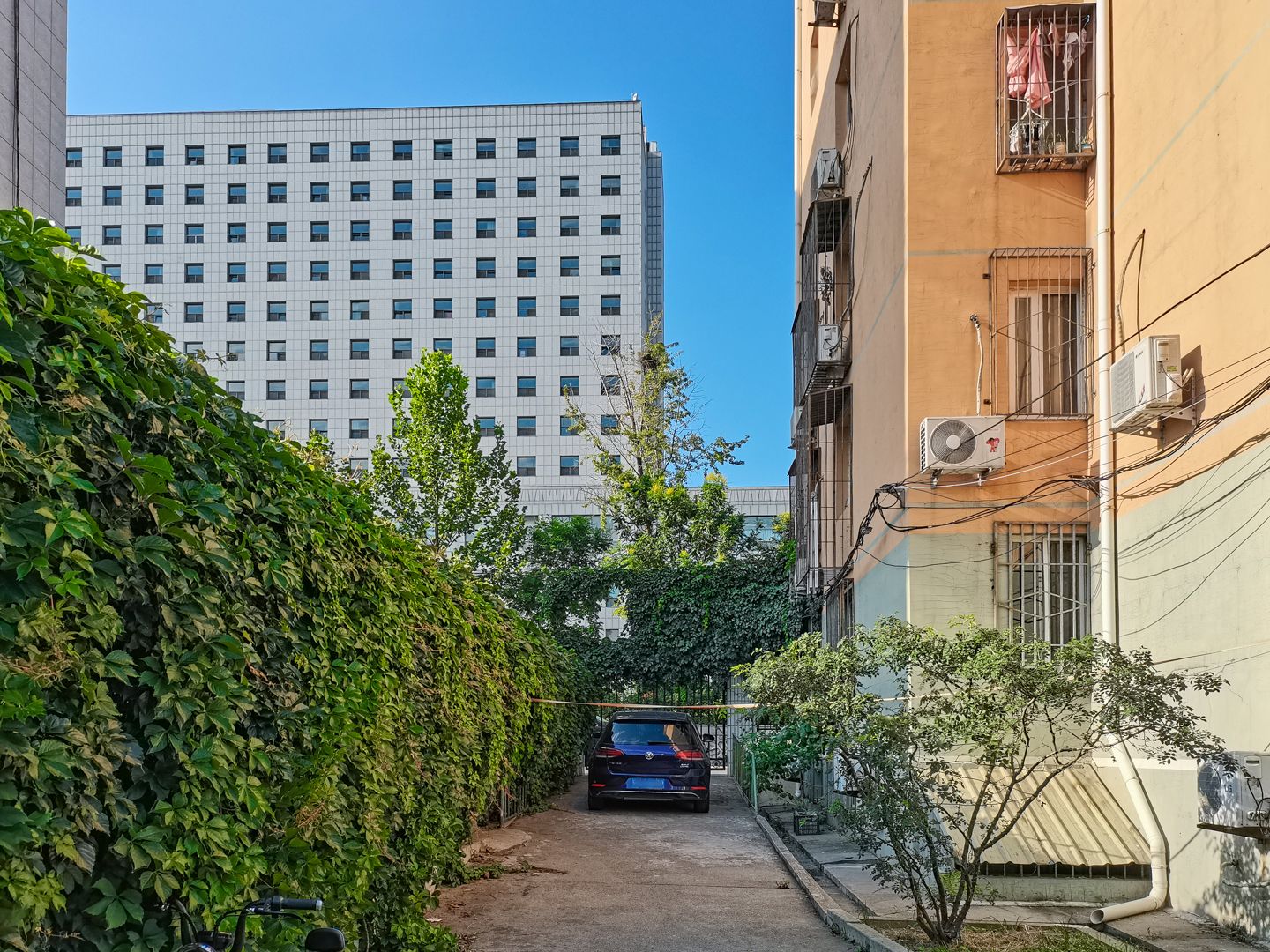 碣石坪 environment