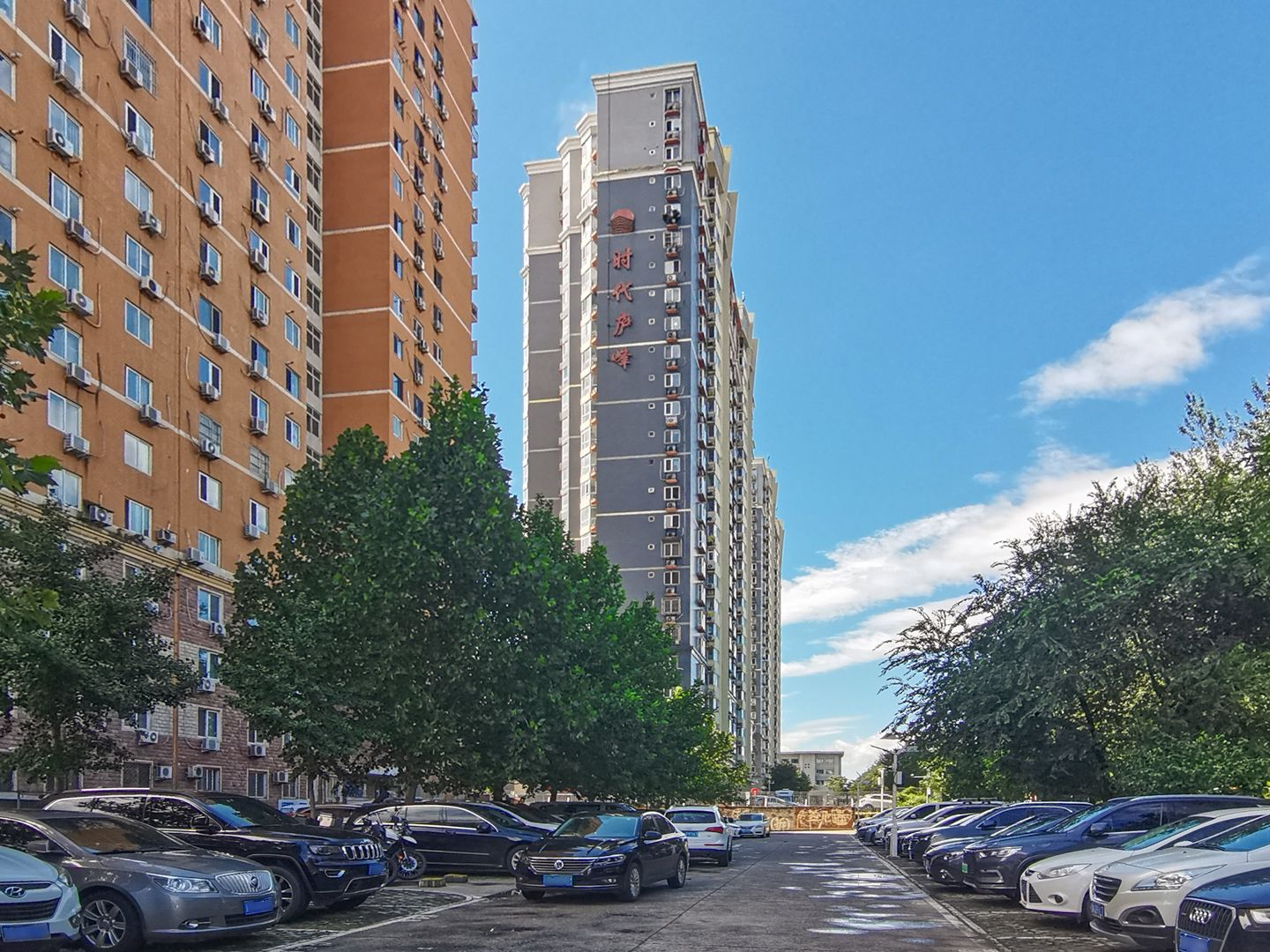 碣石坪 environment