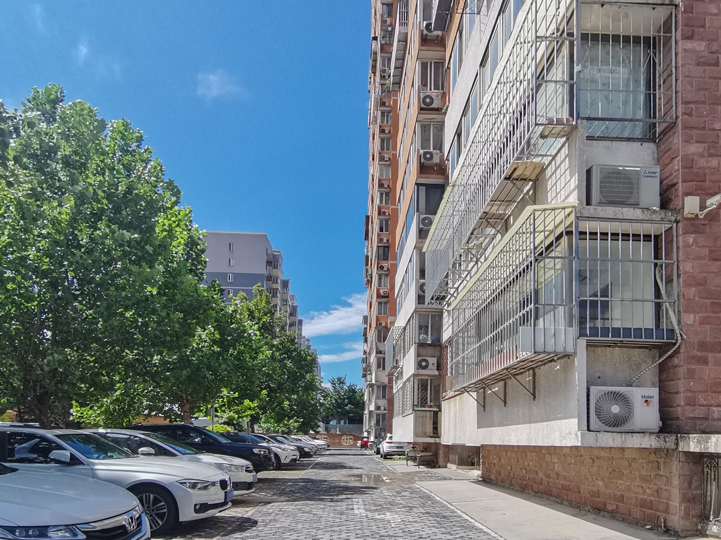 碣石坪 environment