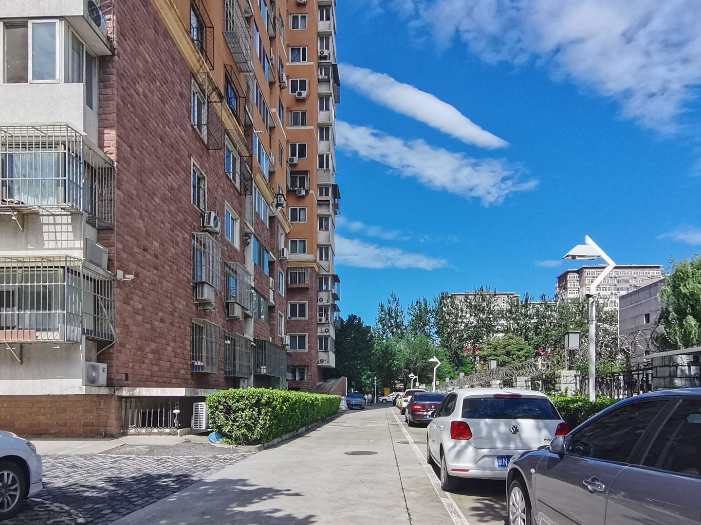 碣石坪 environment