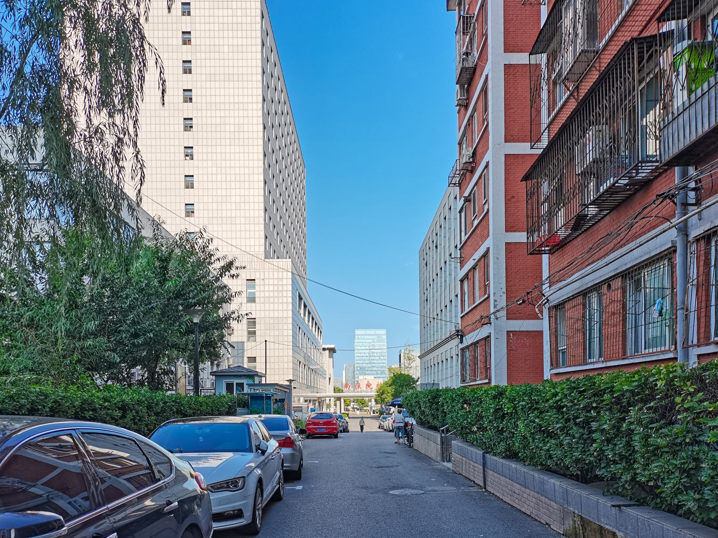 碣石坪 environment