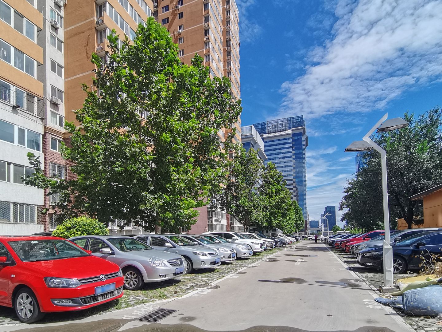 碣石坪 environment