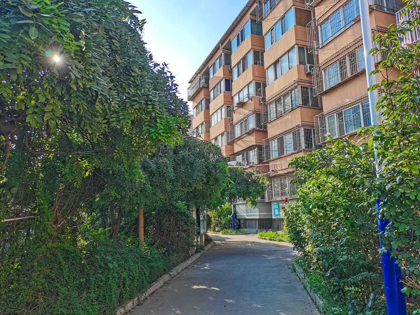 碣石坪 environment