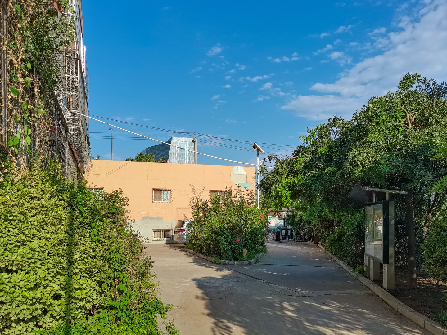 碣石坪 environment