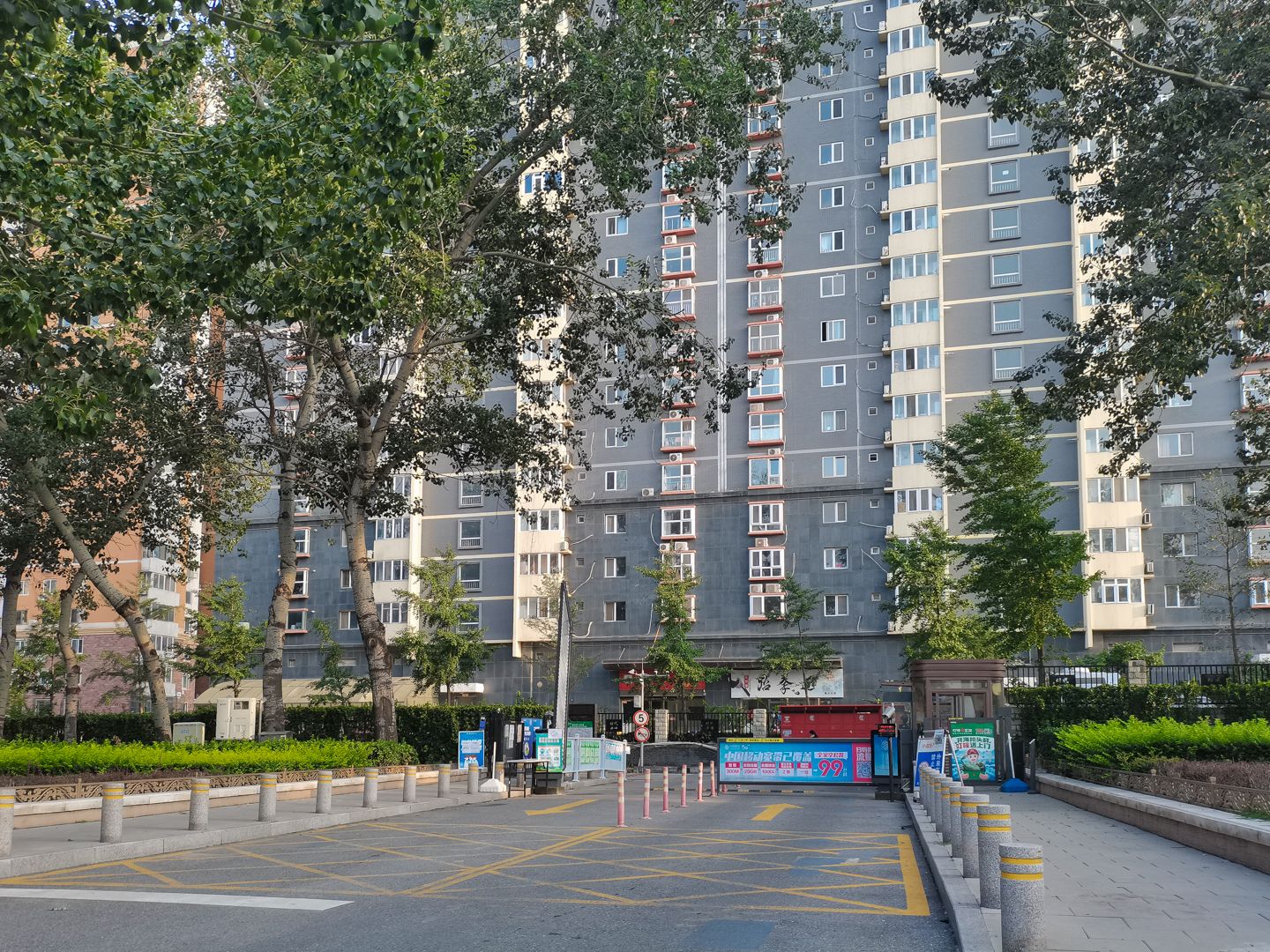 碣石坪 environment