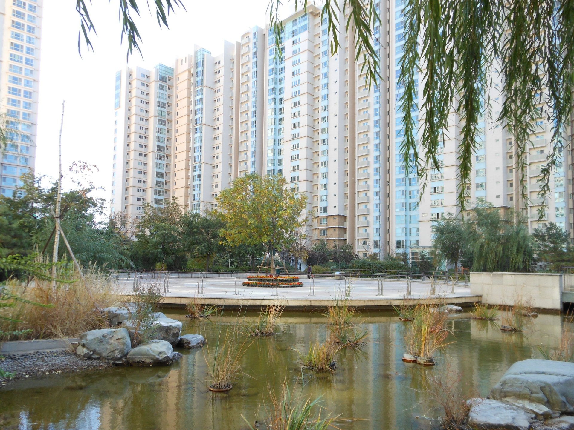 季景沁园 environment