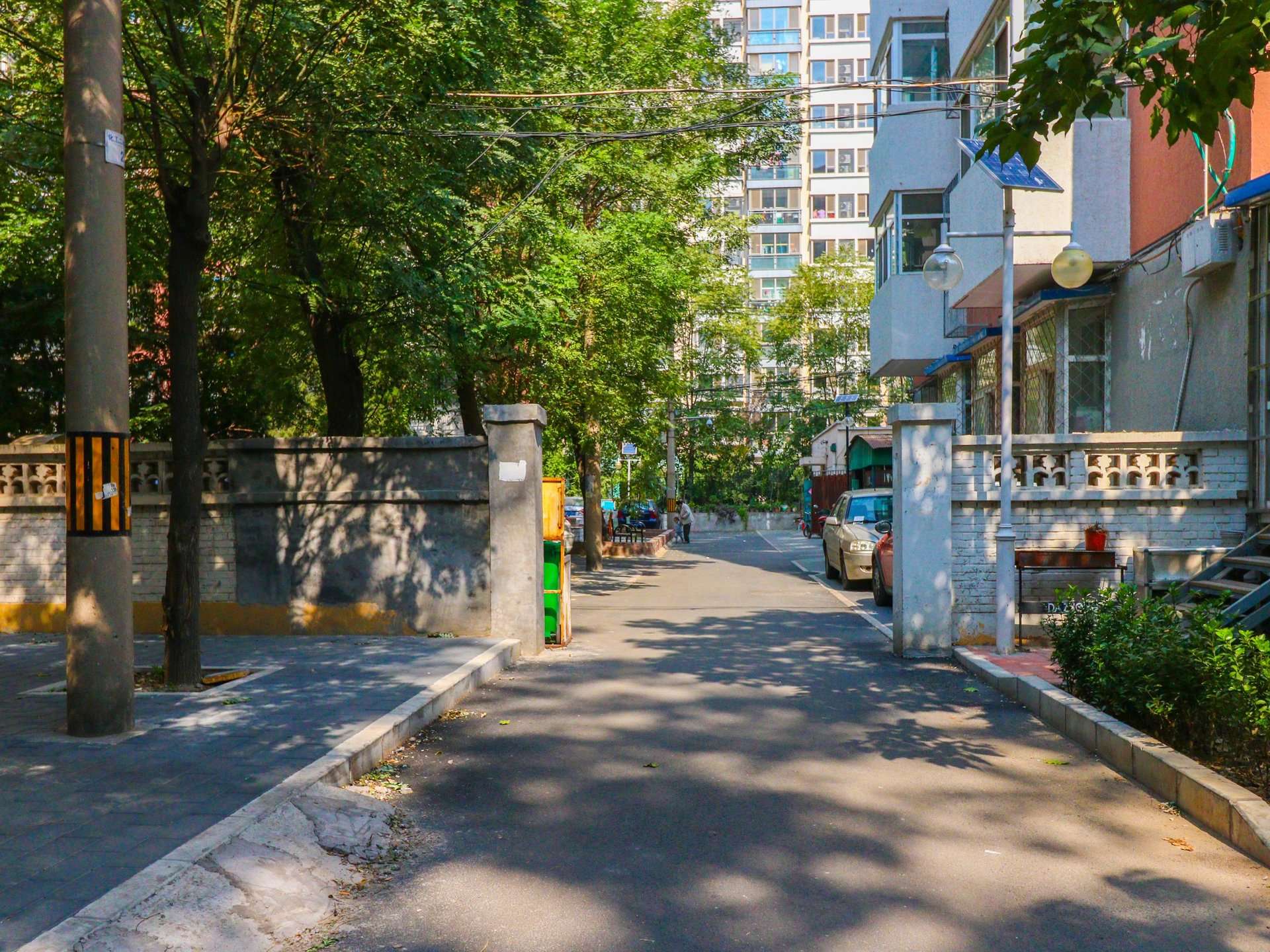 金蝉里 environment