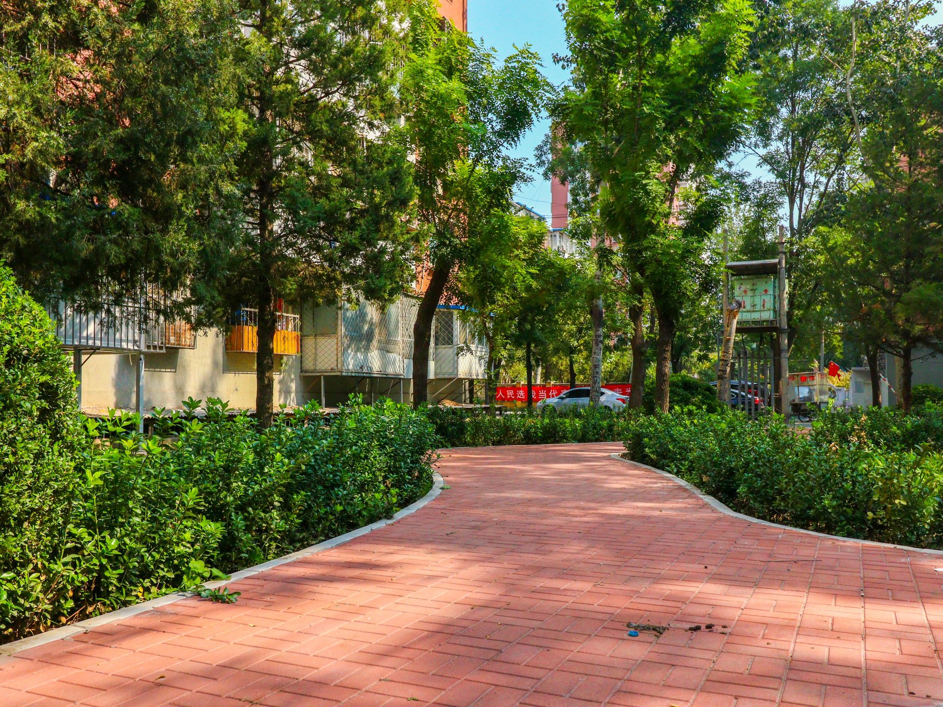 金蝉里 environment